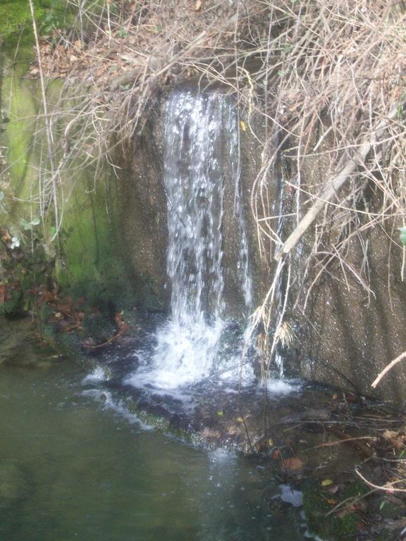 Agriturismo Gelso Castellana Sicula エクステリア 写真