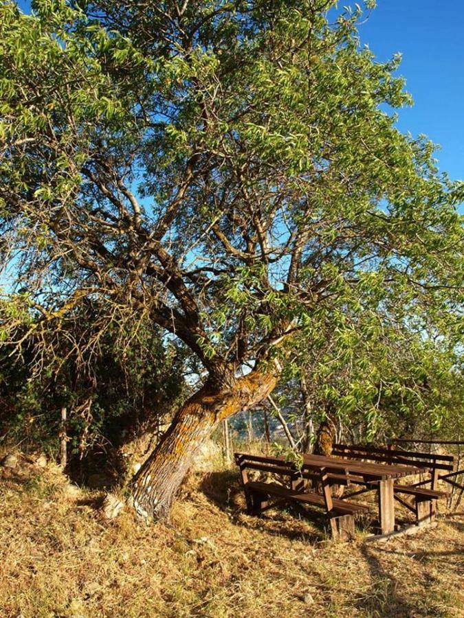 Castellana Sicula Agriturismo Gelsoヴィラ エクステリア 写真